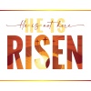 Easter Cards - He is Risen  (pack of 5)